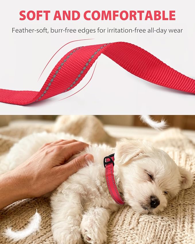 Joytale Dog Collars for Small Dogs, Feather-Light Double-Sided Reflective Nylon Collar for Night Safety, Adjustable Quick-Release for Growing Puppies, Red, S (5/8" Width)