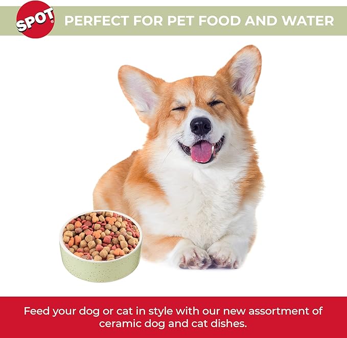 SPOT Speckled Stoneware- Round Ceramic Food/Water Bowl for Pets, Dishwasher Safe, Ideal for Small Dogs, Cats, Reptiles, Large Birds, 5in Light Green, 1.75 Cup (14oz)