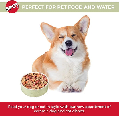 SPOT Speckled Stoneware- Round Ceramic Food/Water Bowl for Pets, Dishwasher Safe, Ideal for Small Dogs, Cats, Reptiles, Large Birds, 5in Light Green, 1.75 Cup (14oz)