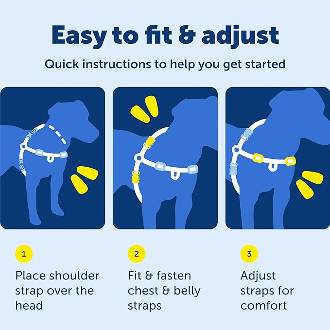 PetSafe Deluxe Easy Walk Harness - Trainer-Trusted Dog Chest Harness with Breathable Martingale Loop Design - Helps Stop Pulling with No Choking & Gagging - Small - Ocean