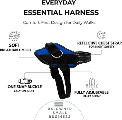 ShawnCo Essential Dog Harness, No-Pull Pet Vest with 3 Leash Clips, No Choke, Reflective, Adjustable and Padded, for Easy Walking and Training for Small, Medium and Large Dogs (Electric Blue,L)