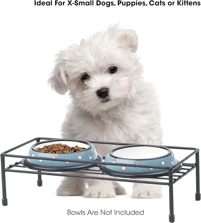 PetRageous 81030 Gizmo's Set The Table Steel Frame Dog Feeder, 3-Inch Tall Dining Table by 13-Inch Long and 5.75-Inch Wide, Holds Two 5.5-Inch Diameter Bowls, for Small and Medium Dogs and Cats, Black