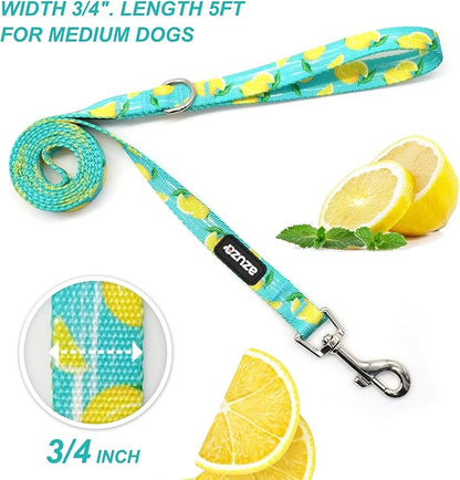 azuza 3 Pack Fruit Design Nylon Dog Leashes Strong & Durable Basic Dog Leash with Easy to Use Collar Hook for Medium Dogs, M (5FT,3/4")
