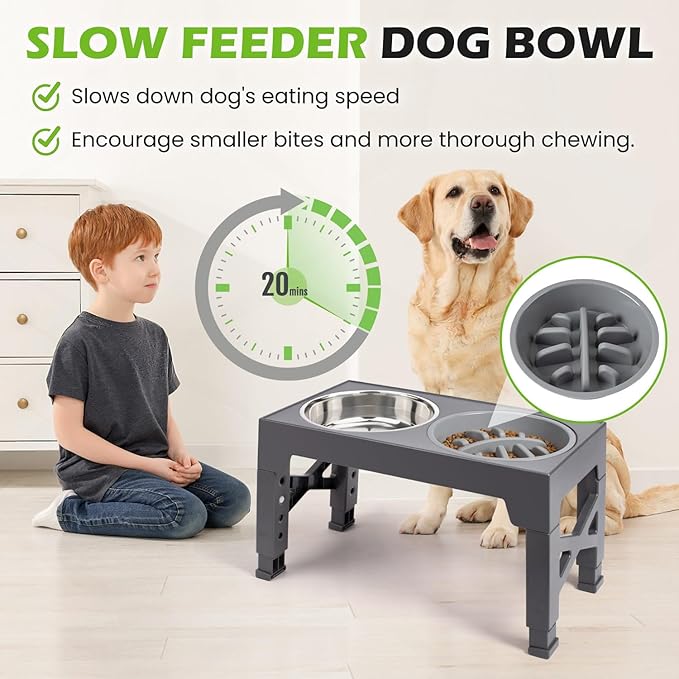 Heeyoo Elevated Dog Bowls - 5 Adjustable Heights Stand, 2 Stainless Steel Bowls & 1 Slow Feeder, 3.2" to 12.2" for Small to Large Dogs