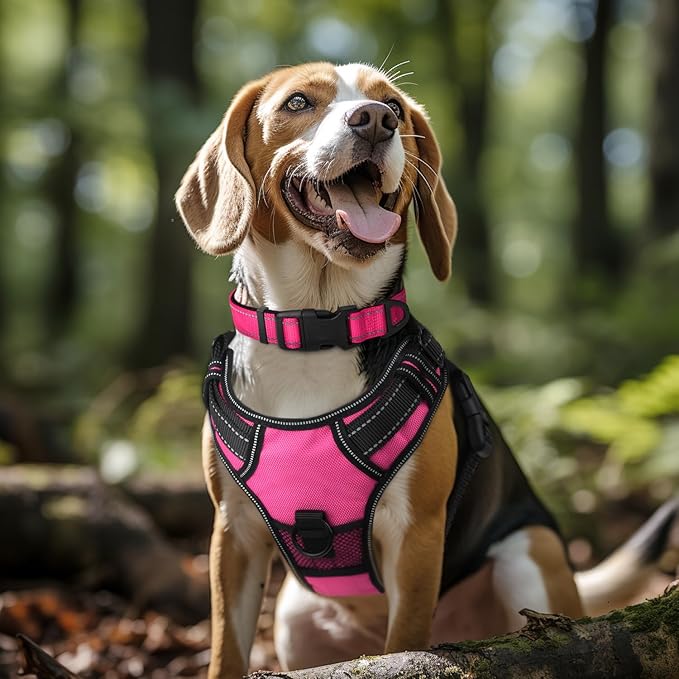 Joytale Reflective Dog Collar, Soft Neoprene Padded, Metal D-Ring, Nylon Pet Collar Adjustable for Large Dogs, Hotpink, L