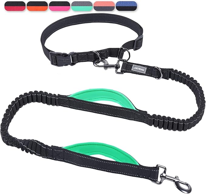 VIVAGLORY Hands Free Dog Leash Bungeetwin Running Dog Leash with Waist Belt for Running Walking & Jogging, Bungee & Around Waist for Pet, M, Black/Turquoise