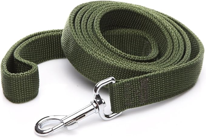 Strong Nylon Dog Leash with 2-Layer, 4 FT/ 6 Feet Long, 1 Inch Wide for Medium Large Dogs (1'' x 7 FT, Green)