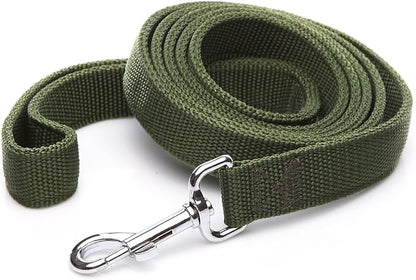 Strong Nylon Dog Leash with 2-Layer, 4 FT/ 6 Feet Long, 1 Inch Wide for Medium Large Dogs (1'' x 7 FT, Green)