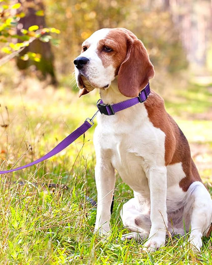 FunTags Reflective Dog Collar, Sturdy Nylon Collars for Medium Girl and Boy Dogs, Adjustable Dog Collar with Quick Release Buckle, Purple