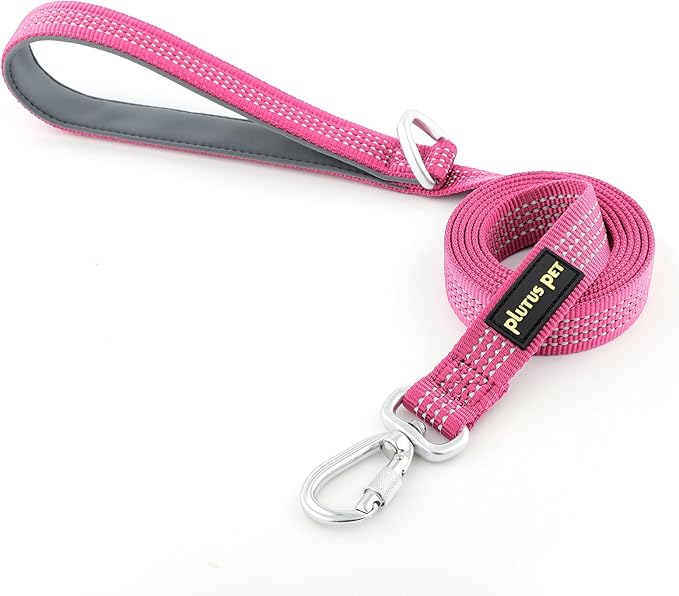 Plutus Pet Heavy Duty Dog Leash with Lockable Aluminum Carabiner, 4/6 Feet Long, Double-Sided Reflective Nylon, Padded Handle, for Puppy, Small, Medium and Large Dogs (Pink, 1" x 6')