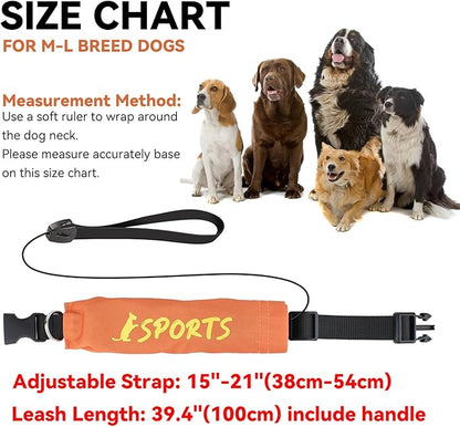 NAMSAN Retractable Dog Leash Collar for Medium to Large Dogs, Dog Collar with Retractable Leash Built-in, All-in-One, Adjustable, Orange