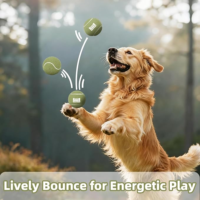 2.5" Dog Tennis Balls 6-Pack – Silent Bounce, Tough Rubber Core, Durable Fetch & Training Toys for Indoor/Outdoor Play, for Small Medium Large Dogs (Macaron Mixed Color, 6-Pack)
