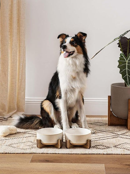 LE TAUCI PET Ceramic Dog Bowls for Medium Large Dogs - 5 Cup Large Dog Food and Water Bowls with Wood Stand, Cute Pet Dishes Set of 2, Lines+Dot