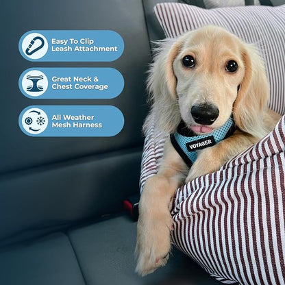 Best Pet Supplies - All Weather Mesh / Plush, Reflective, No Pull Harness for Small, Medium Dogs, Cats - Secure with Hook & Loop Fastener, Buckle, Double D-Rings - Baby Blue/Black Trim, S