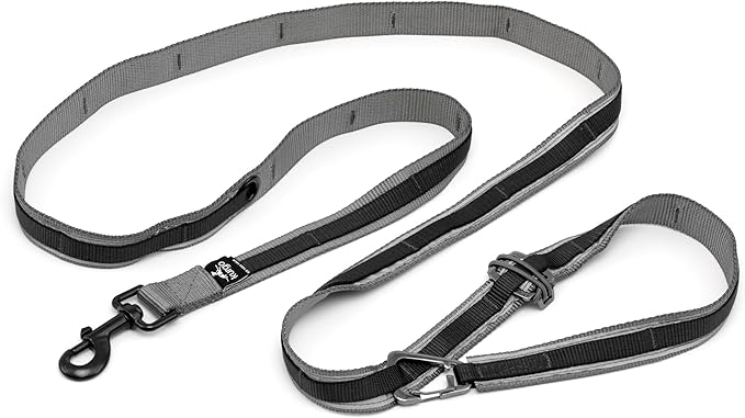 Kurgo 6 in 1 Quantum Leash, Hands Free Leash for Dogs, Running Belt Lead, Crossbody & Waist Belt Style, Reflective, Carabiner Clip, for Training, Hiking, or Jogging, 4 Colors