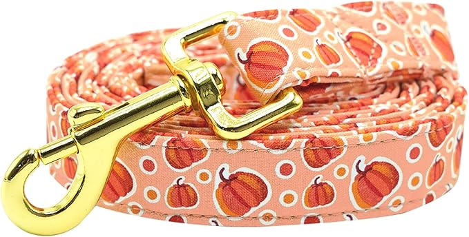Dog Leash, Halloween Fall Pumpkin Print Durable Strong Dog Leashes Heavy Duty Comfortable Padded Pet Leash for Small Medium Large Dogs