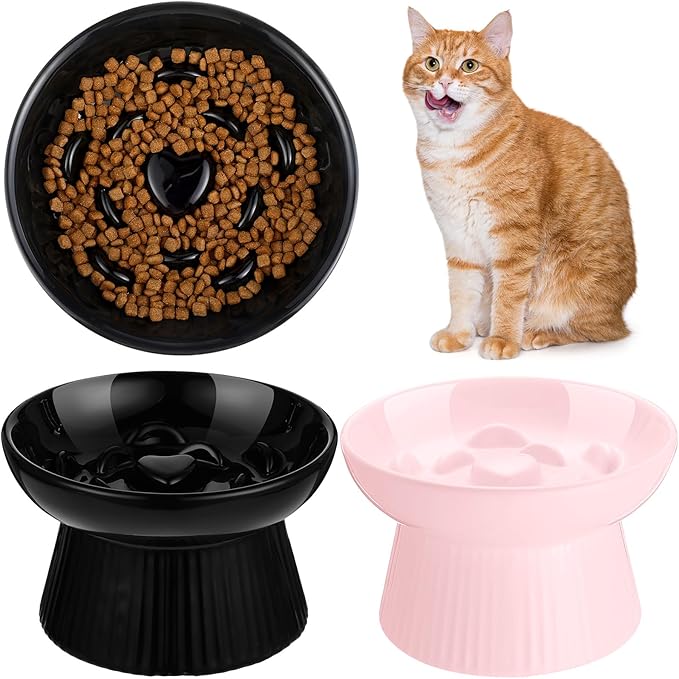 Tioncy 2 Pcs Raised Cat Slow Feeder Bowl Ceramic Elevated Cat Dog Food Bowl No Spill High Edge for Dry Wet Food and Water Easy to Clean, Dishwasher Safe (Black,Pink)