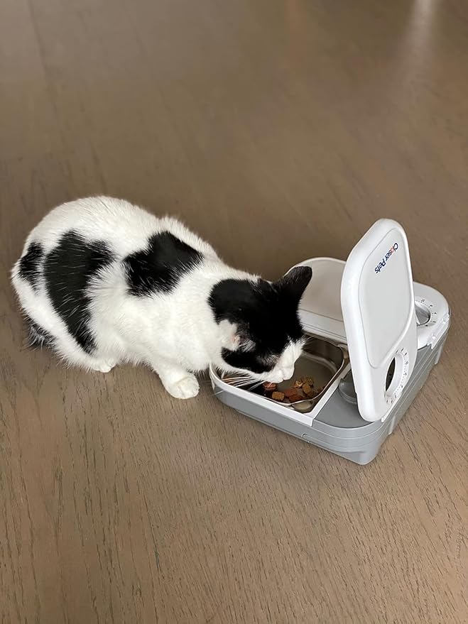 Closer Pets C200 2 Meal Timer-Controlled Automatic Pet Feeder - for Cats and Small Dogs, Wet or Dry Food, Stainless Steel Bowl Inserts and Ice Pack, up to 14 oz Each, White