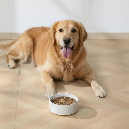 MALACASA Ceramic Dog Food Bowl, 6 Cups or 54 oz Dog Food Water Dish for Large Breeds, Pet Bowl Dishwasher & Microwave Safe, Honeycomb, Series Lydia
