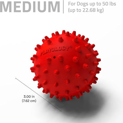 Playology Dog Toys | Spiky Chew Ball for Medium Dogs | Beef Scented Toy for Tough Chewers - Easy to Clean and Made from Non Toxic Materials
