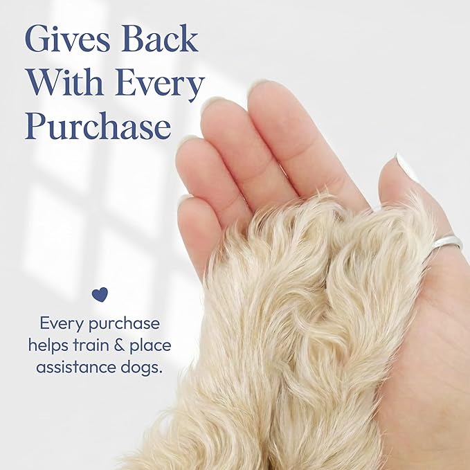 Dog Cologne Spray with Long Lasting Jasmine, Musk, and Vanilla Scent - Vegan Alcohol-Free Pet Deodorizer for Smelly Dogs - Water-Based Luxury Puppy Grooming Fragrance - Sweet Snooze 3.4FlOz