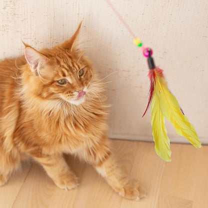 12 Pack Cat Wand Refill Cat Feather Toys Refills with Bells Feathers Toy Natural Feather Replacement for Exercise Play Vibrant Wand Attachments Safe Cats Toy Accessories for Bored Indoor