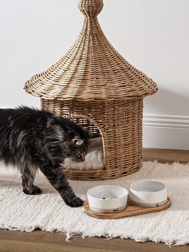 LE TAUCI PET Dog and Cat Bowl Set with Acacia Wood Tray - 2 Cup Ceramic Puppy Bowls for Cats &Small Dogs, Dual Food and Water Bowls with Weighted Non-Slip Base