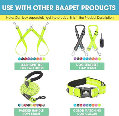 BAAPET 5 Feet Nylon Dog Leash with Triple Reflective Threads and Comfortable Padded Handle for Walking, Training Lead Small Puppy, Medium and Large Dogs (1.0'' x 5 FT, Green)