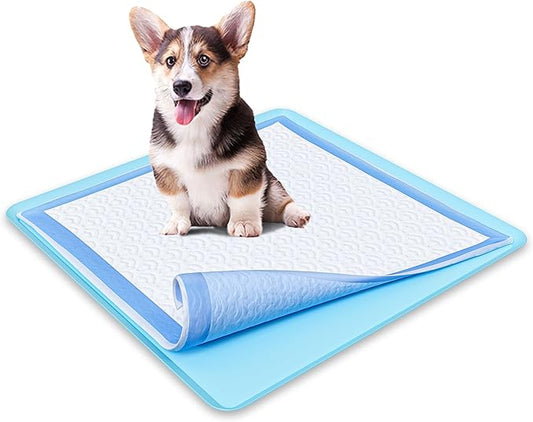 TidyFriend Dog Pee Pad Holder Tray - Fits Up to 24” x 24” Pee Pad Holder for Dogs - Stable Grip, Raised Edges, Quick-Wipe Silicone Surface Dog Pad Holder for Indoor Flooring Protection (Sky Blue)