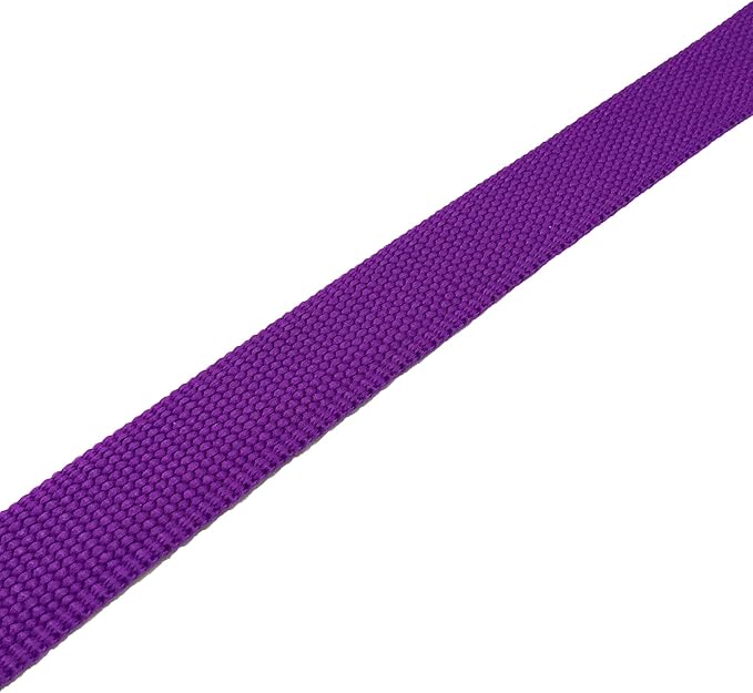 TAIAN 5 FT Strong Dog Leash, Nylon Dog Leashes for Small Medium Large Dogs Purple