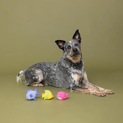 Fringe Studio Latex Dog Toy, 3 Pieces Set Stay Salty, Pet Shop Collection (367096)