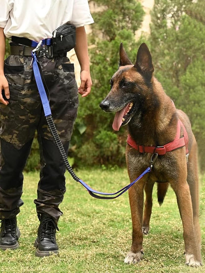 Hands Free Dog Leash with Zipper Pouch & Waist Belt – Reflective Durable Bungee Leash with Dual Padded Handles for Walking, Jogging & Running, Fits Small to Large Dogs (Blue)