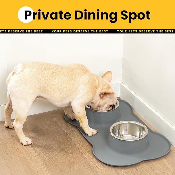 Medium Pet Feeding Station, 29oz Stainless Steel Dog Bowls Set, No Spill Food & Water Dishes with Non Slip Silicone Mat for Breeds Up to 55 Lbs, Grey