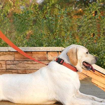 Reflective Dog Leash 6 FT Padded Handle Nylon Dogs Leashes for Medium Dogs Orange