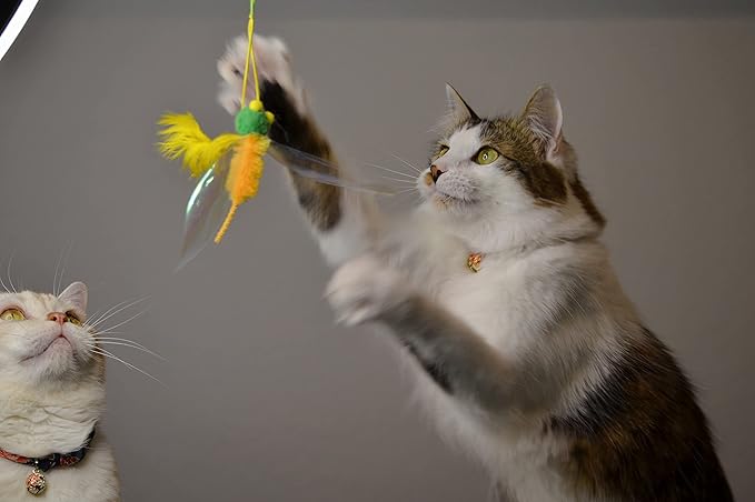 NECOICHI Crinkly Critters Bouncy Bee Adjustable Cat Wand No.1 Selling Cat Toy in Japan