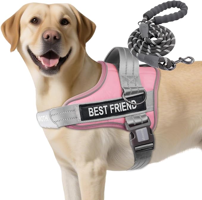 AUROTH Dog Harness and Leash Set, Soft Padded Service Dog Vest with 5.25FT Dog Leash, No Choke, Easy On Pet Vest, Adjustable Reflective No Pull Dog Harness for Large Dogs, Easy Walking and Training