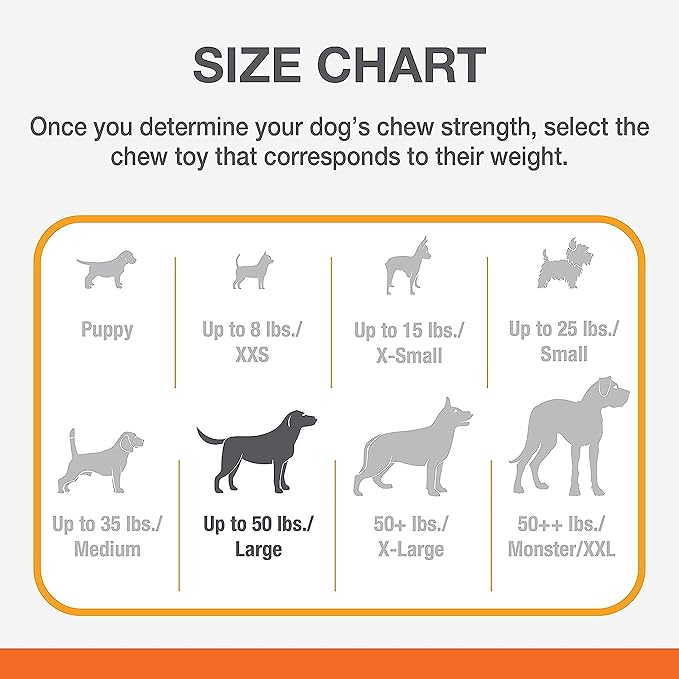 Nylabone Power Chew Barbell Bone Chew Toy for Dogs, Durable Dog Toy, Peanut Butter Flavor, Large - Up to 50 lbs. (1 Count) (Pack of 2)