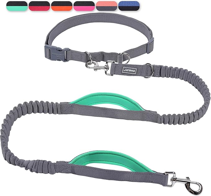 VIVAGLORY Hands Free Dog Leash Bungeetwin Running Dog Leash with Waist Belt for Running Walking & Jogging, Bungee & Around Waist for Pet, S, Grey/Turquoise