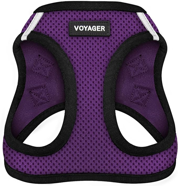 Best Pet Supplies - All Weather Mesh/Plush, Reflective, No Pull Harness for Small, Medium Dogs, Cats - Secure with Hook & Loop Fastener, Buckle, Double D-Rings - Purple/Black Trim, XL