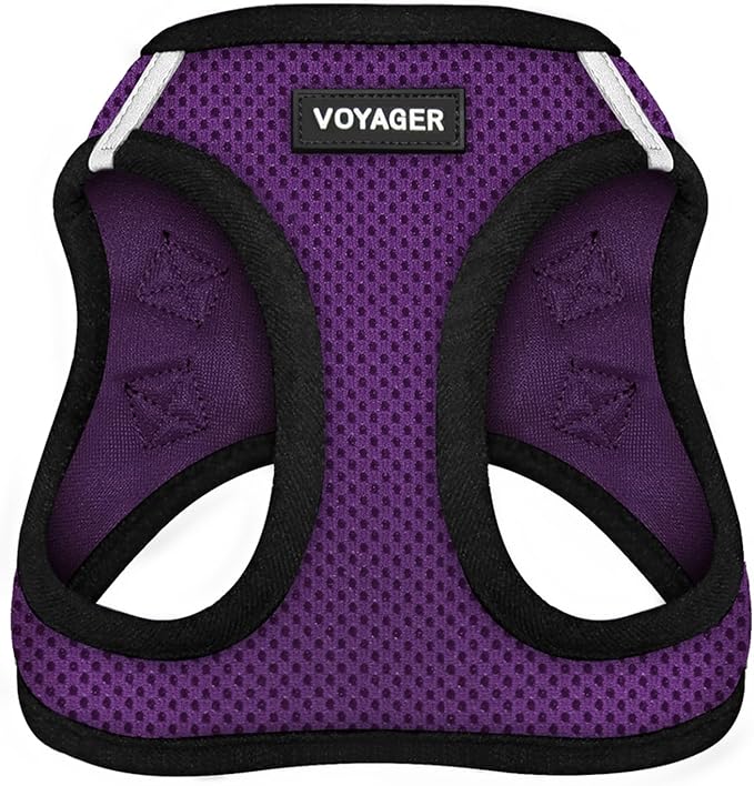 Best Pet Supplies - All Weather Mesh/Plush, Reflective, No Pull Harness for Small, Medium Dogs, Cats - Secure with Hook & Loop Fastener, Buckle, Double D-Rings - Purple/Black Trim, L