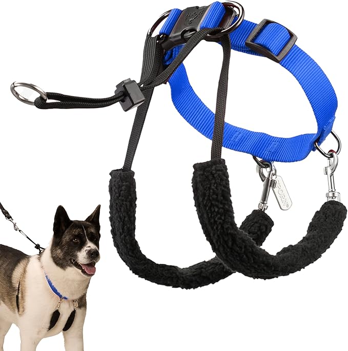 Sporn Original Dog Halter, No Pull Dog Harness, Durable Nylon Collar with Padded Restraint Sleeves for Extra Large Breeds, No Choke Design, Adjustable Fit, Easy On/Off, Blue, X-Large