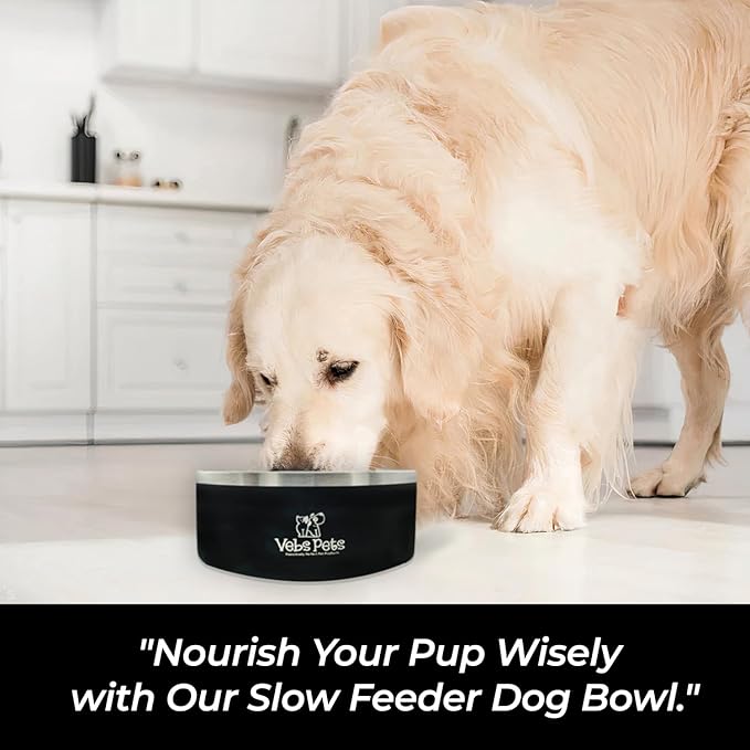 64 oz Premium Insulated Stainless Steel Dog Bowl - Non-Slip, Spill-Proof, BPA-Free - Includes A Slow Feeder Insert, Dog Dish, Water and Food Bowl Feeding of Large and Medium Dogs - Black