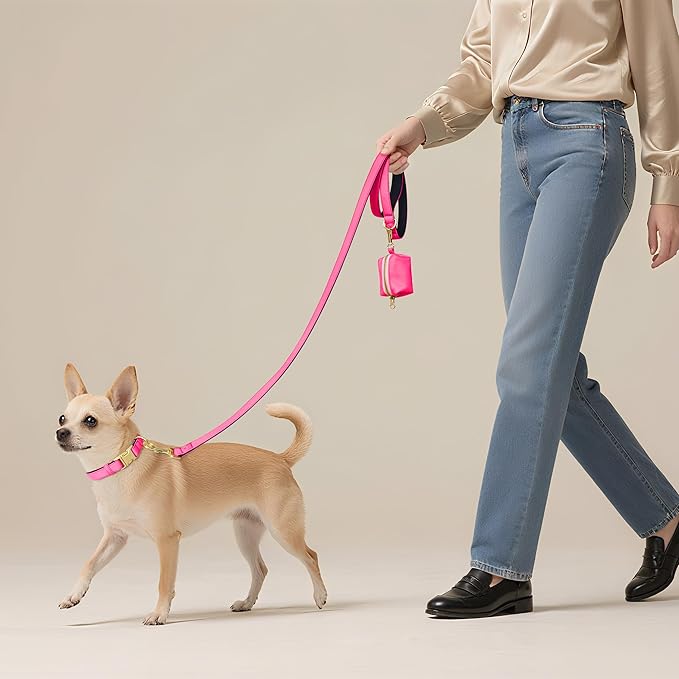 Didog 5FT Colorful Nylon Dog Leash with Soft Full-Length Padding, Lightweight and Durable Pet Leash for Small Dogs, Pink, S