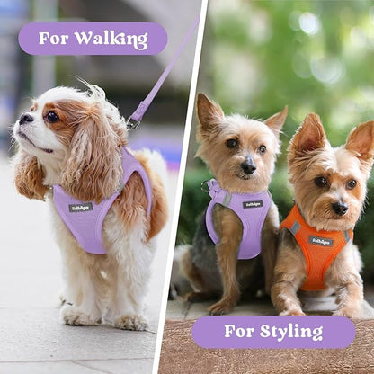 rabbitgoo Small Dog Harness, Step-in Soft Mesh Puppy Vest with Safety Buckle, Breathable Reflective Pet Harness for Small Sized Dogs, Light Purple S