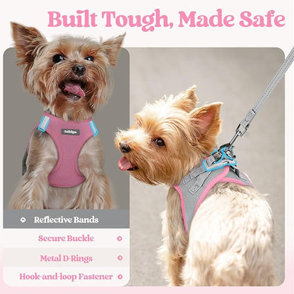 rabbitgoo Dog Harness Small Sized and Leash Set, Step in Soft Light Puppy Vest, Breathable Mesh Pet Harness, Reflective for Safe Easy Walking, Pink & Gray XXS