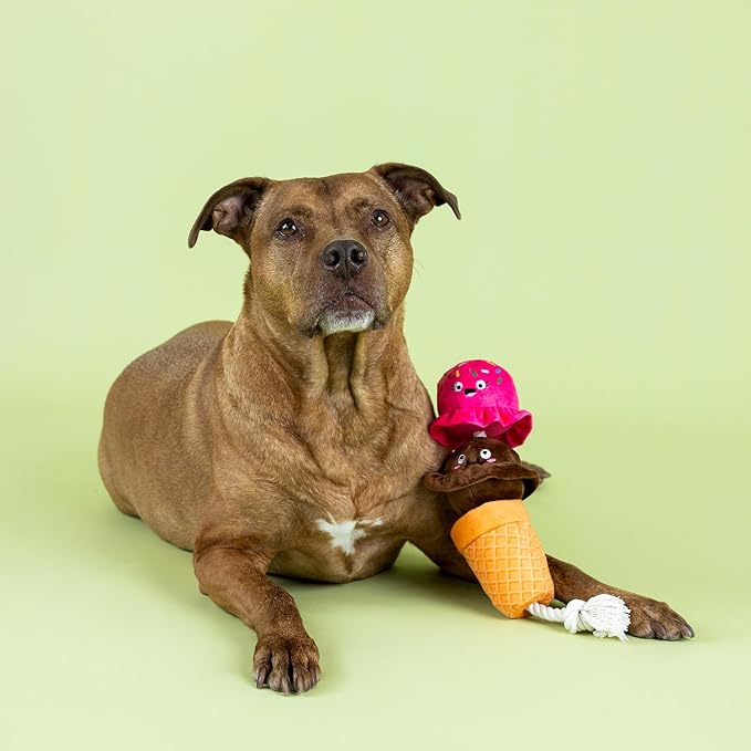 Fringe Studio Losing Cone-TROL Plush Dog Toy, Pet Shop Collection (314433)
