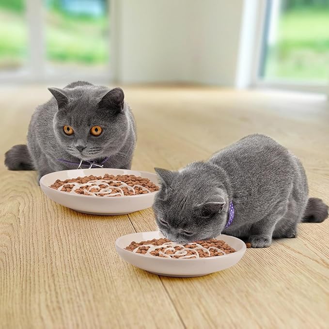 Slow Feeder Cat Bowl Set of 2, Ceramic Slow Feeding Cats Bowl Whisker Friendly, Anti Vomiting Cat Feeder for Dry and Wet Food，Fun Maze Interactive Bloat Stop Puzzle Bowls for Healthy Eating Diet