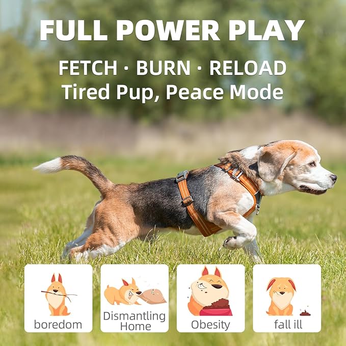 Automatic Dog Ball Launcher-Small Silent Dog Ball Thrower, 3 Adjustable Distances (20ft/33ft/46ft), Rechargable,Includes 3 Durable 2.3" Balls for Small/Medium Dogs (Blue, Medium)