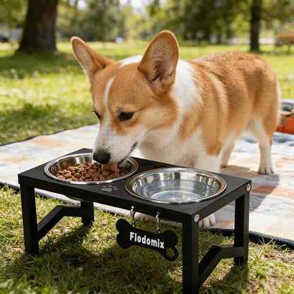 Elevated Dog Bowls, Metal Raised Dog Bowl Stand with 2 Thick 34oz Stainless Steel Food Bowls- 6.6" Tall for Small/Medium Breeds