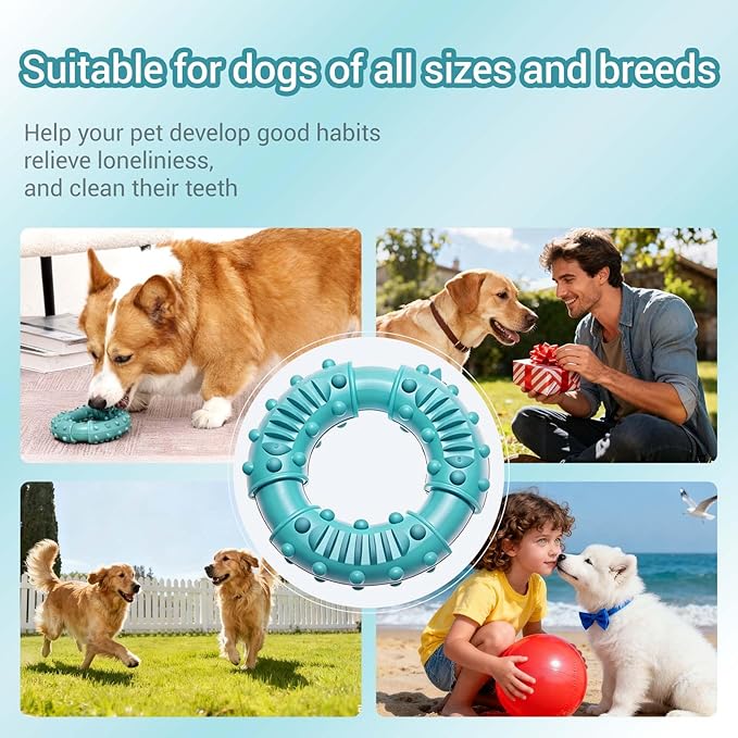 Natural Rubber Indestructible Dog Chew Ring Toys, Interactive Dog Toys for Aggressive Chewers,Dental Teething Training Toys with Textured Nodules, Durable Pet Dog Toy for Boredom (Blue)